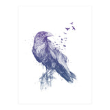 Born To Be Free (Print Only) thumbnail