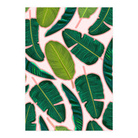 Banana Leaf Blush (Print Only)