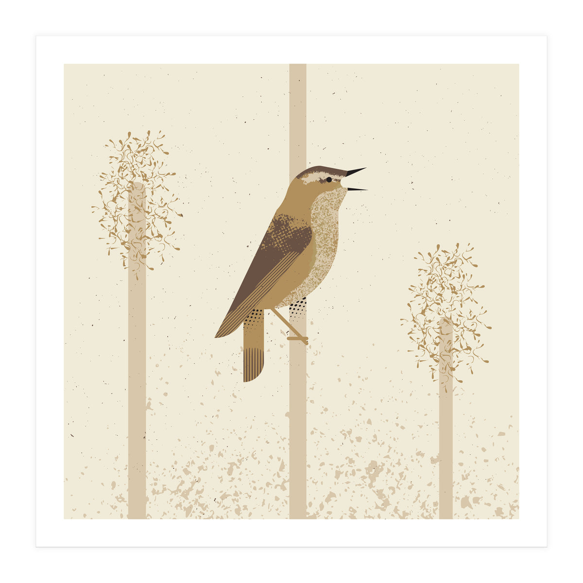 Sedge Warbler (Print Only)