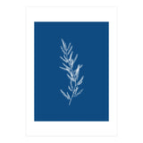 Blue Botanical II (Print Only) thumbnail