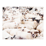 The Herd (Print Only) thumbnail