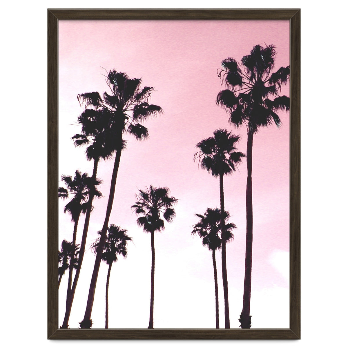 Palms & Sunset