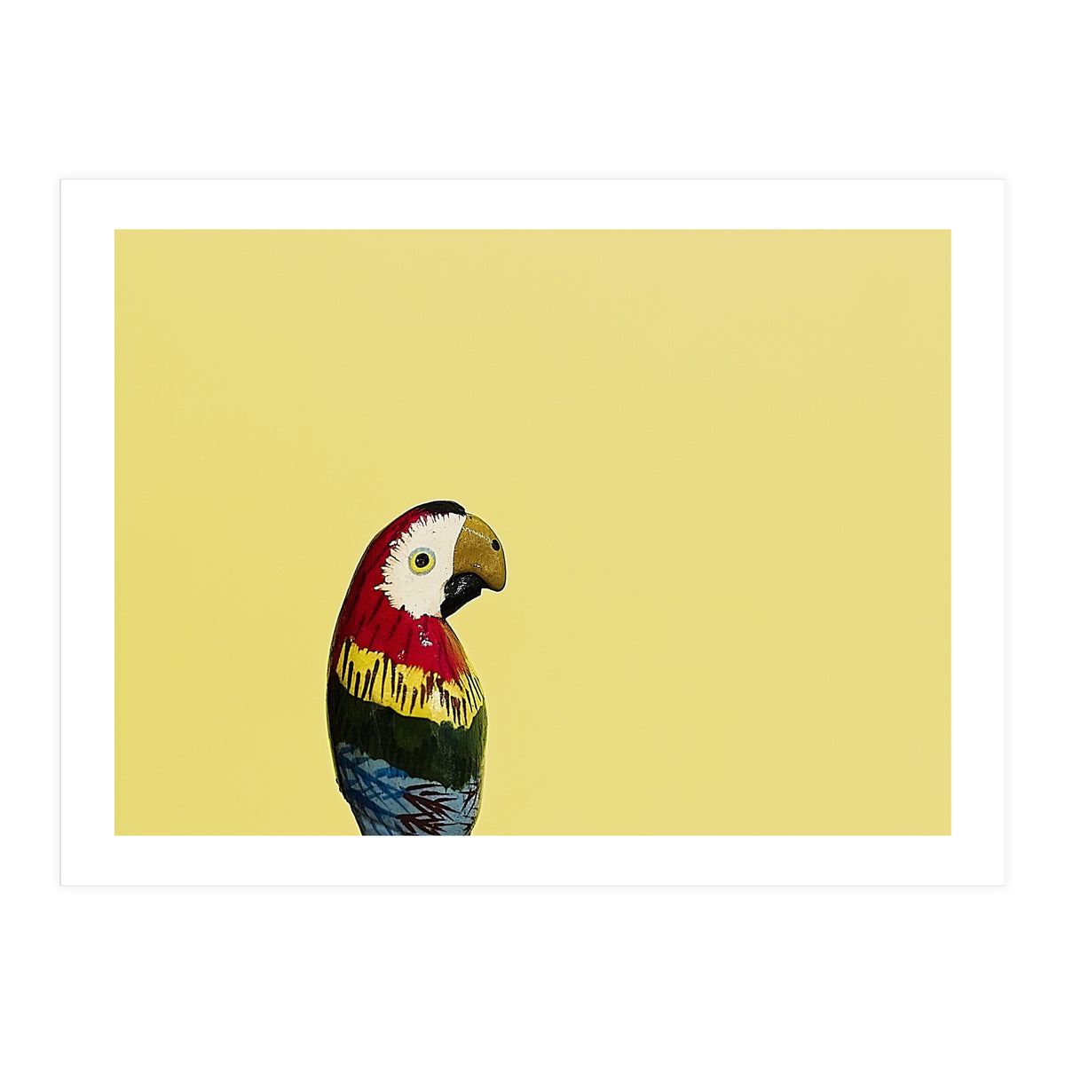 Parrot (Print Only)