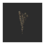 Moody Golden Botanicals - Square (Print Only) thumbnail