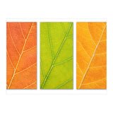 Autumn Leaves (Print Only) thumbnail