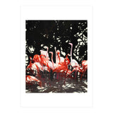 Flamingoes Under The Banyan Tree (Print Only) thumbnail