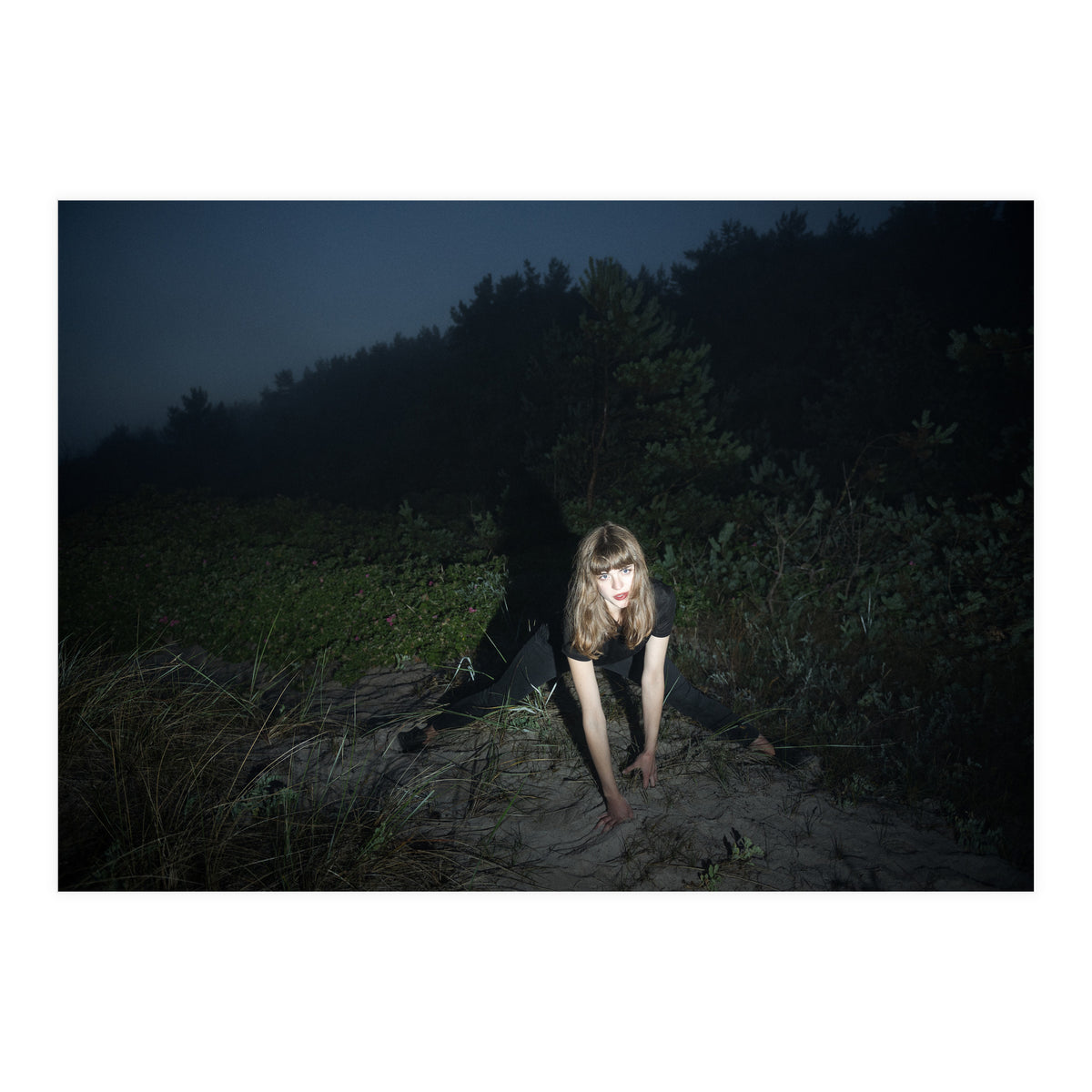 Nightcrawler (Print Only)