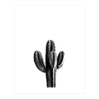Cactus Black And White 03 (Print Only)