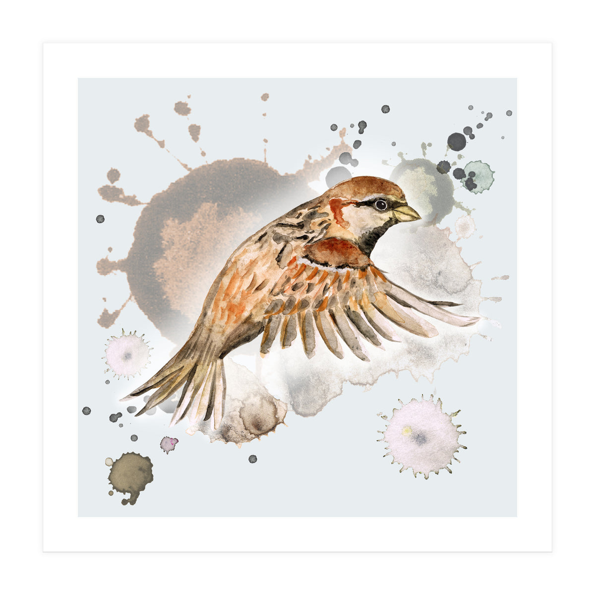 Flying sparrow (Print Only)
