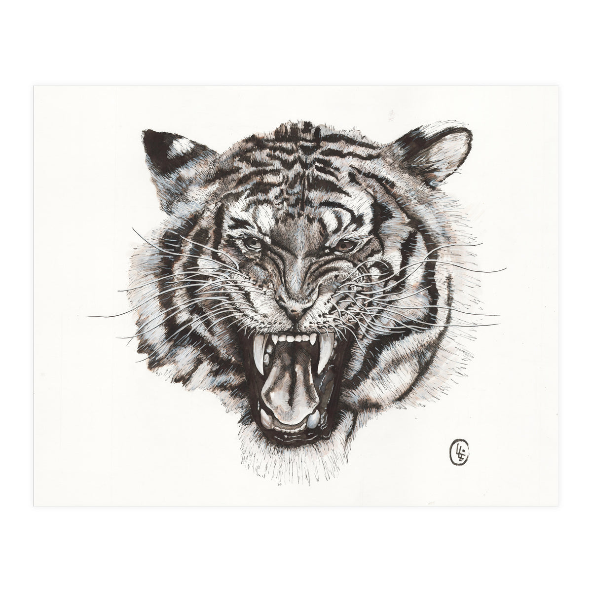 Tiger (Print Only)