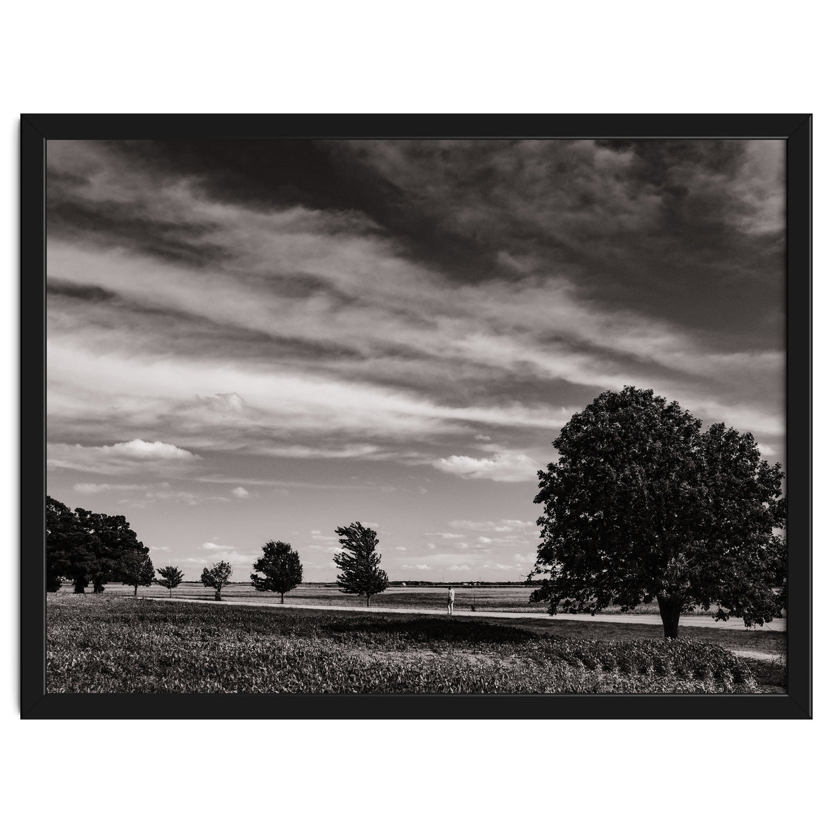 Country Road, Illinois