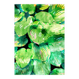 Colors Of The Jungle (Print Only) thumbnail