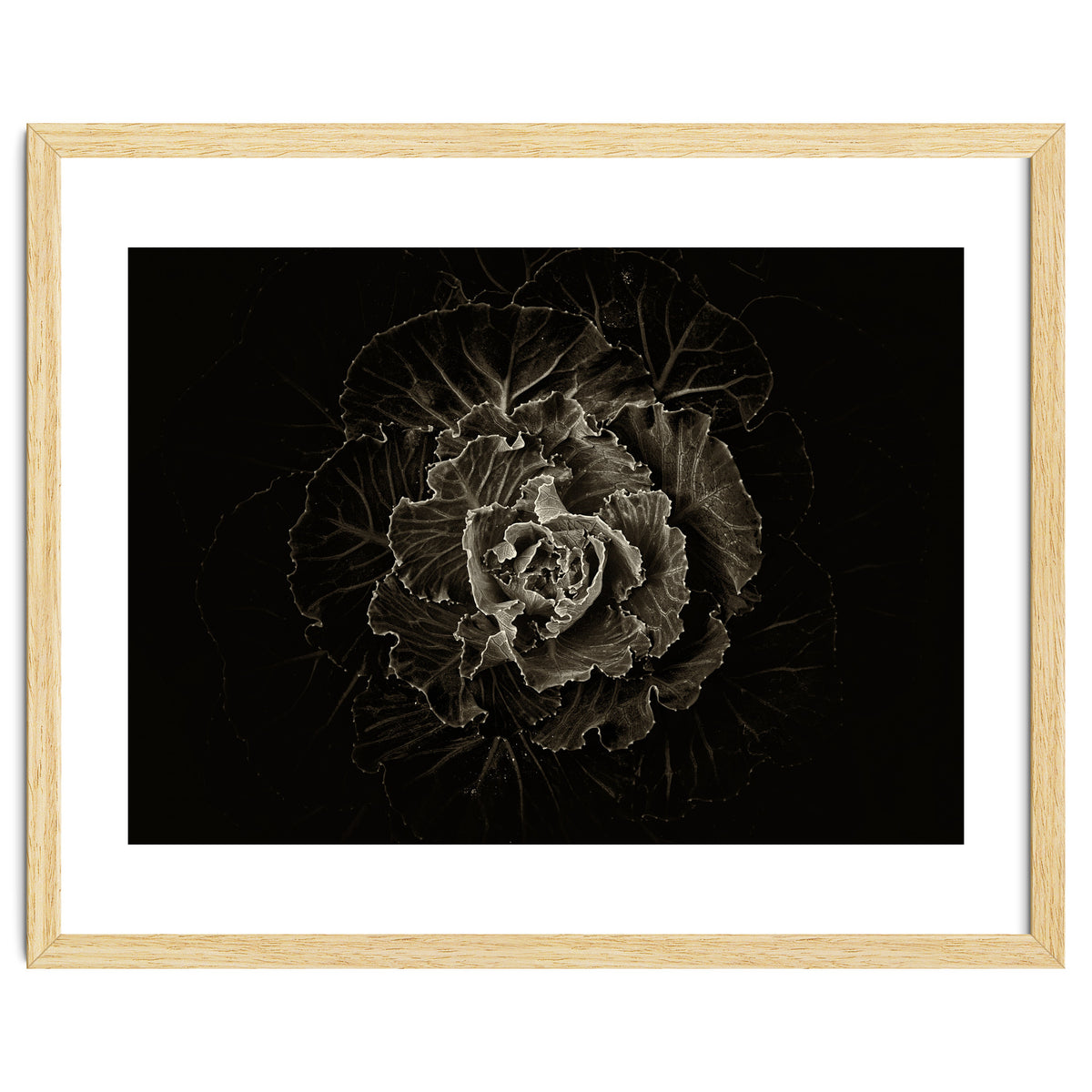 Backyard Flowers No 100 Sepia Version