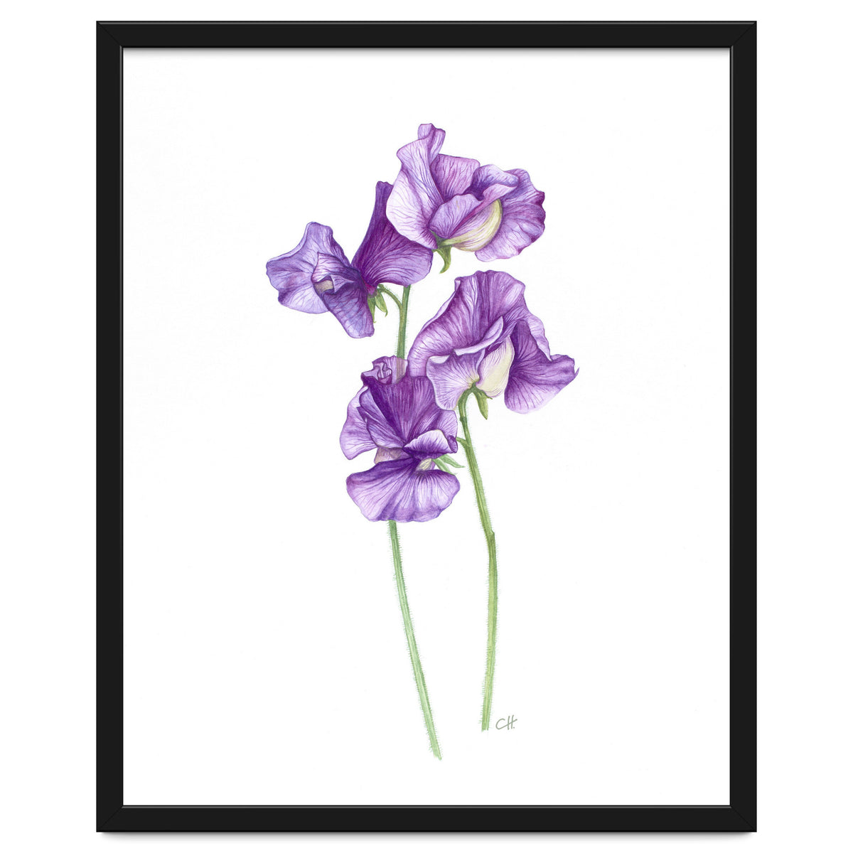 A Purple Posy Of Sweet Peas