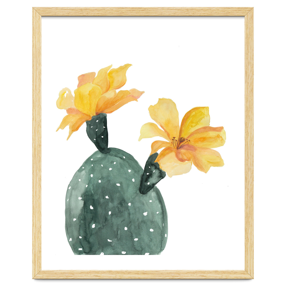 Botanical Illustration Yellow Cactus Flowers