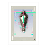 Equus quagga (Print Only) thumbnail