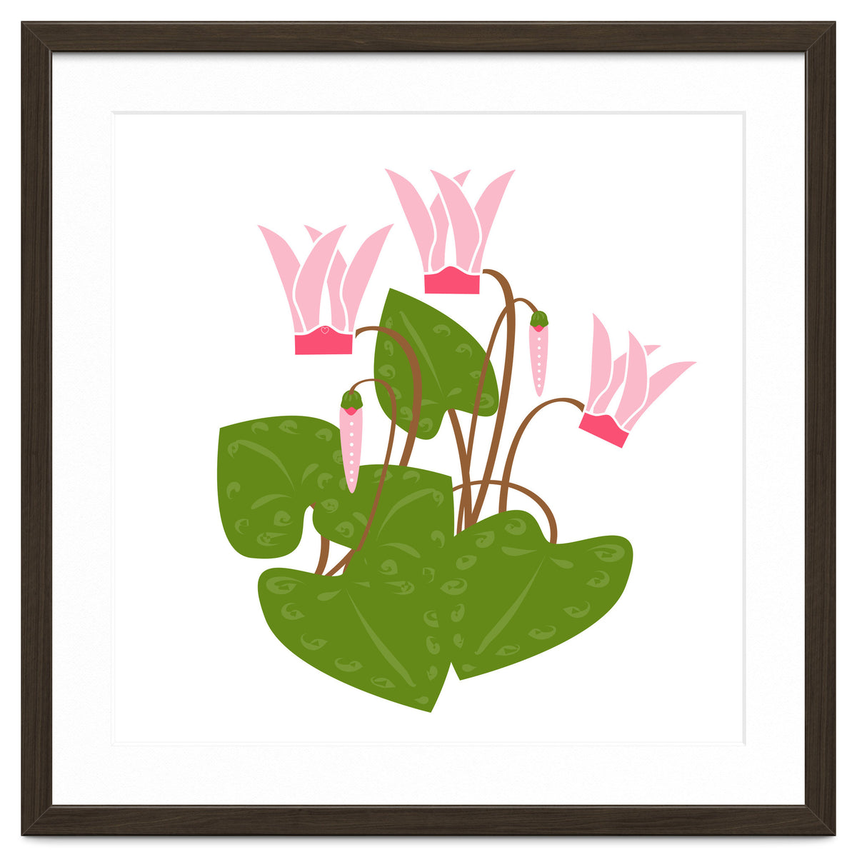 Cascading Cyclamen
