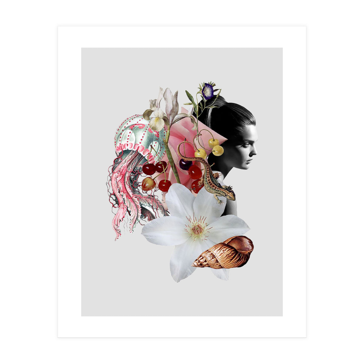 July (Print Only)