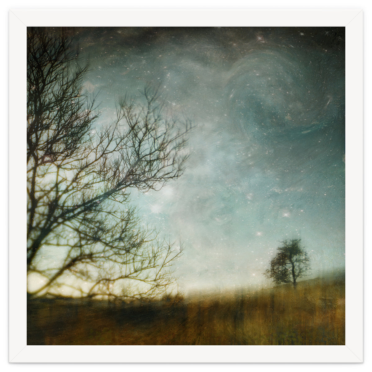 The Tree That Whispered