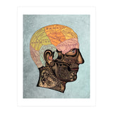 Brain Anatomy (Print Only) thumbnail