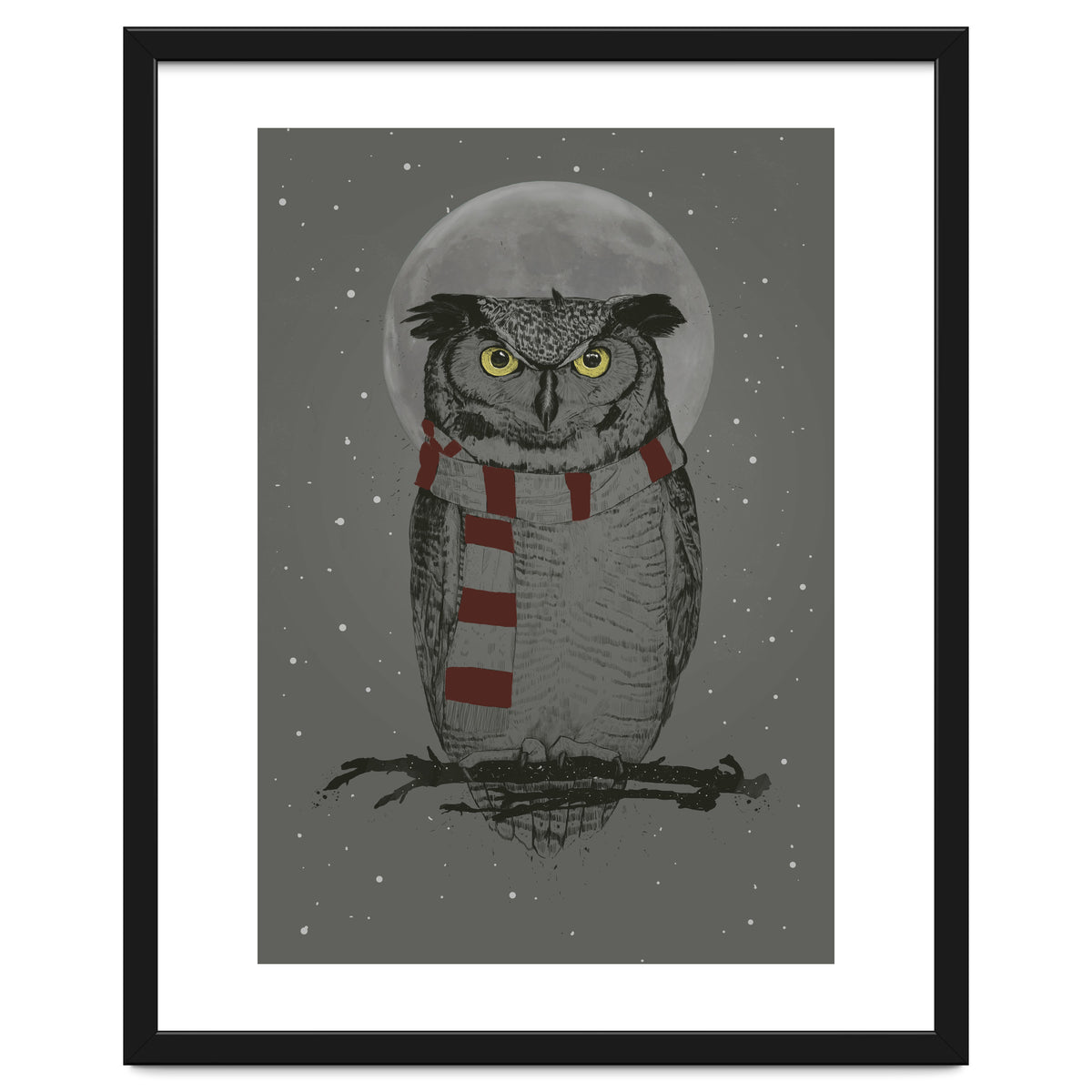 Winter Owl