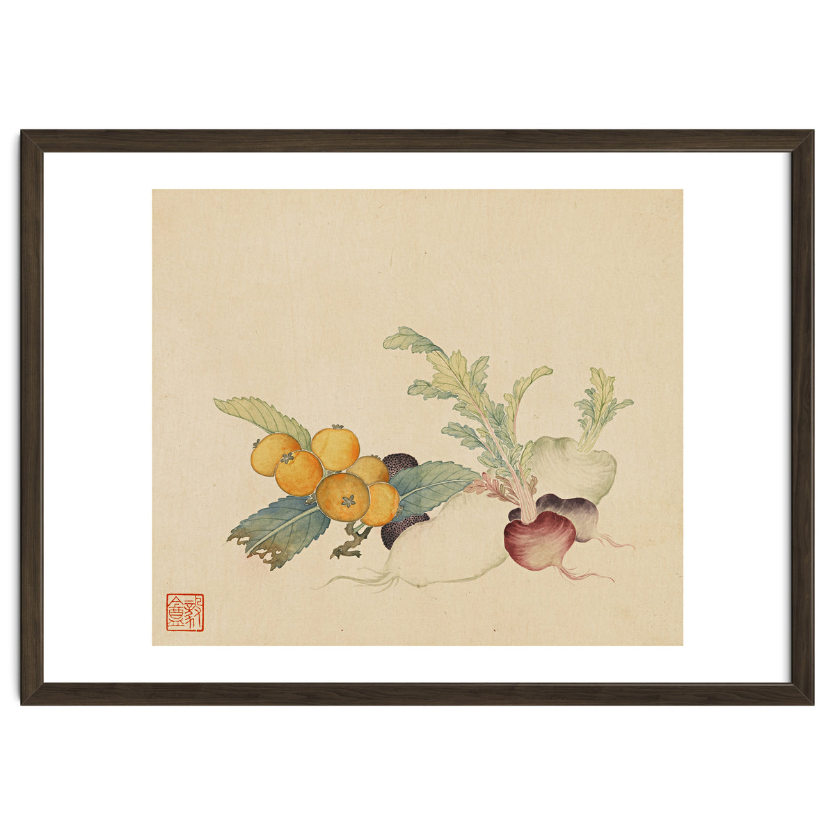 Wang Chengpi~flowers And Vegetables, Vegetables, Fruits, Loquat, White Radish, Carrot, Radish