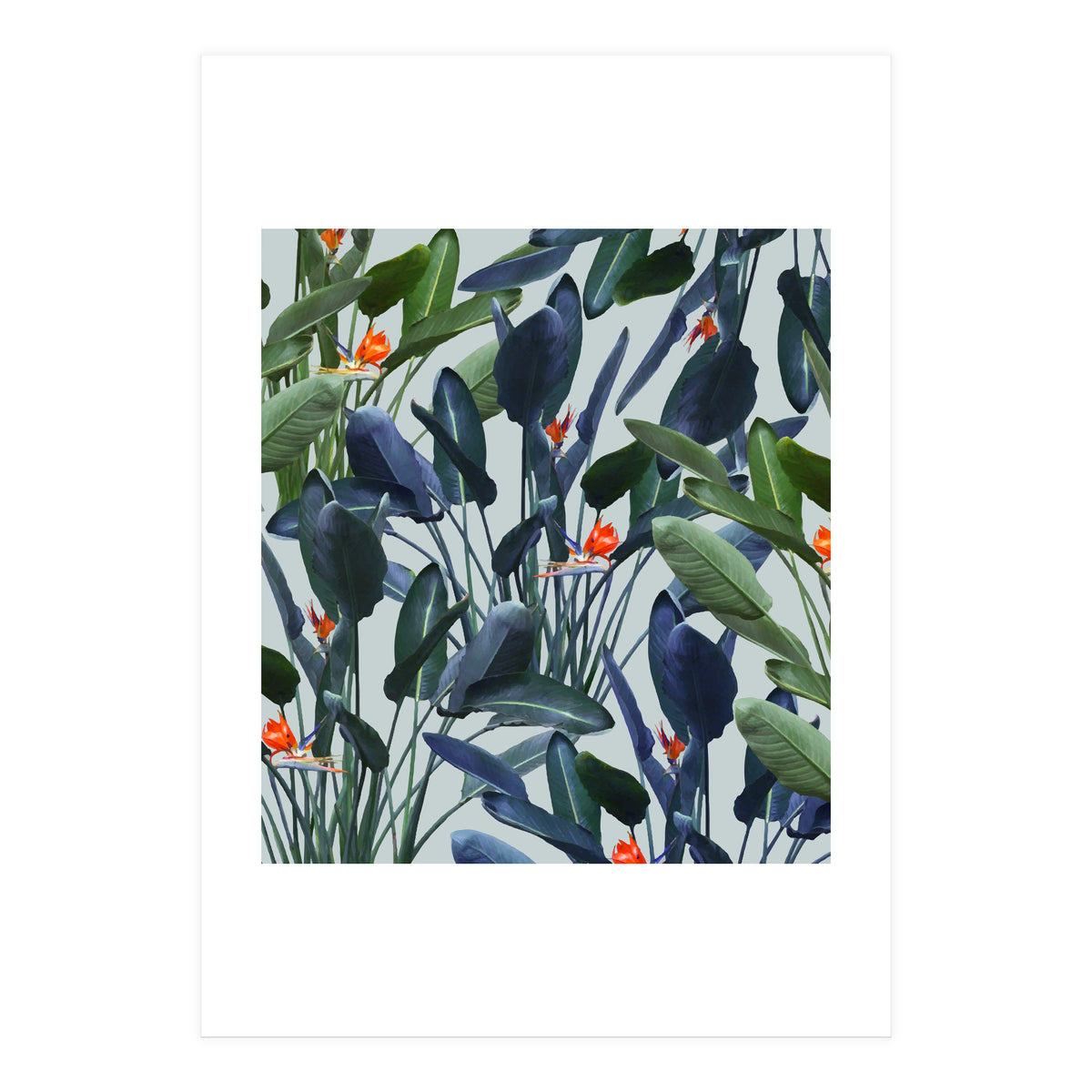 Optical Zen (Print Only)