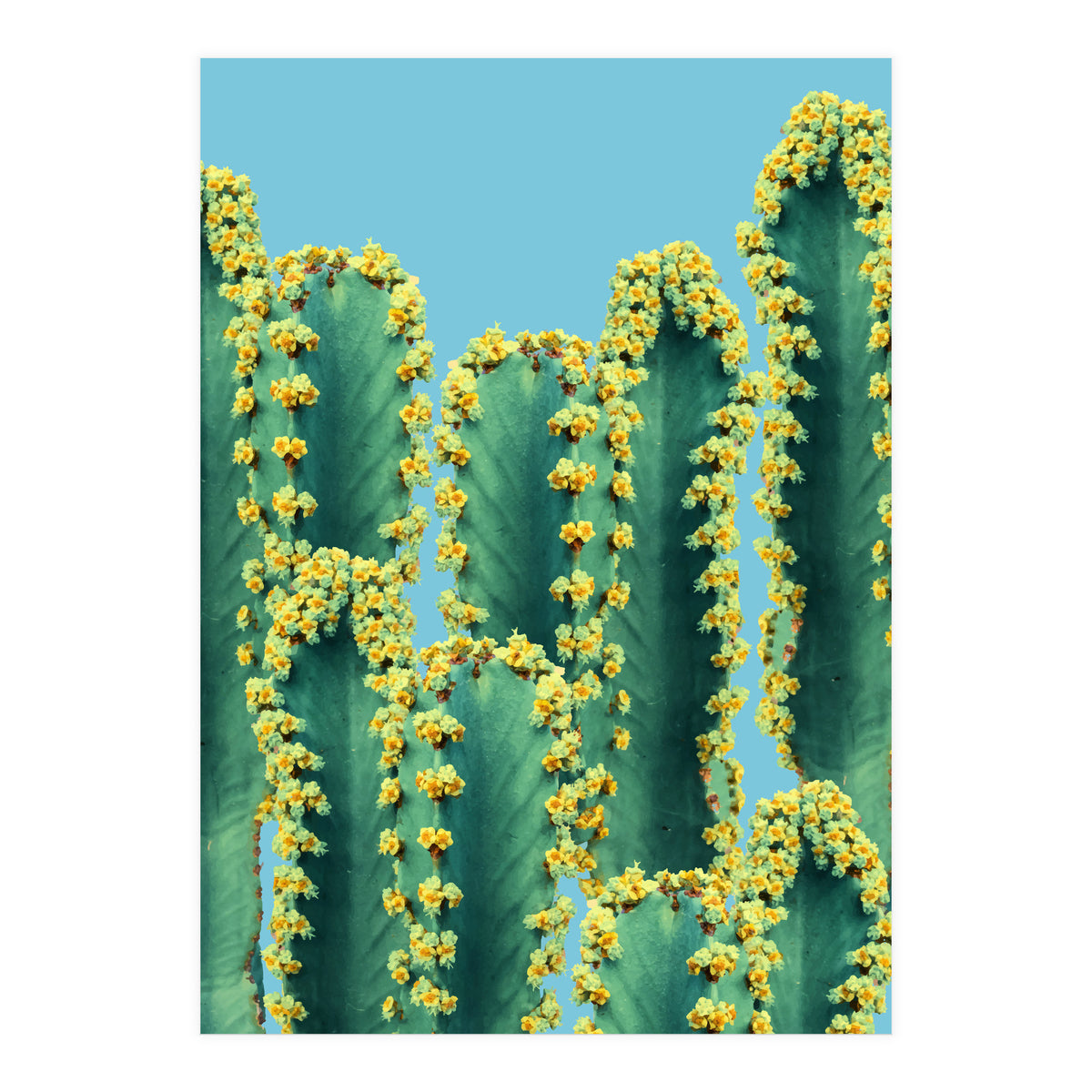 Adorned Cactus V2 (Print Only)