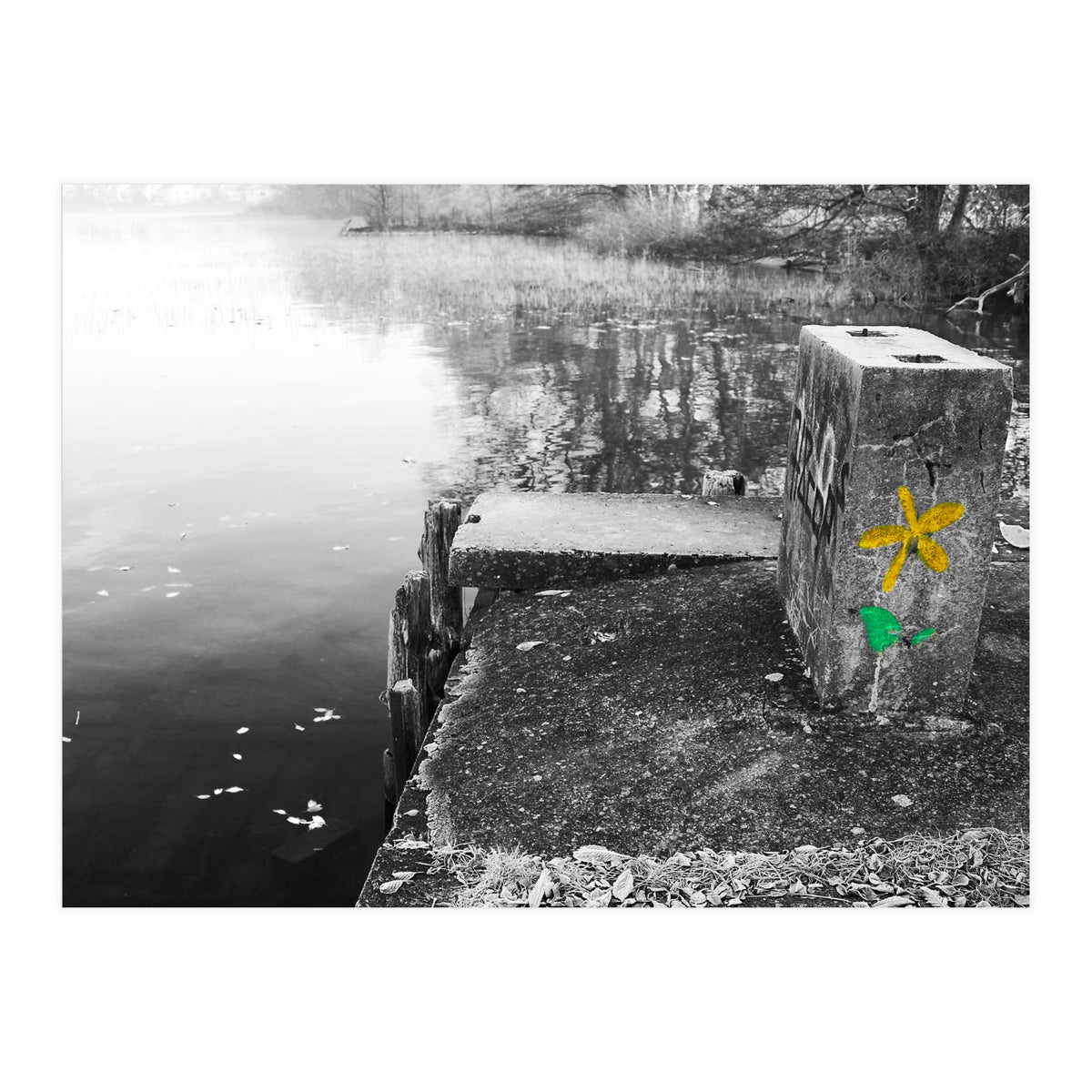 Frozen Ground Yellow Flower Street Art (Print Only)