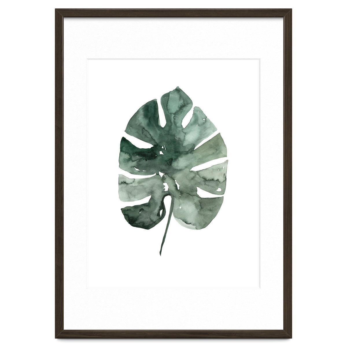 Botanical Illustration Monstera Leaf