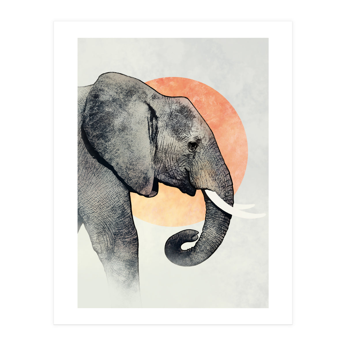 Elephant (Print Only)
