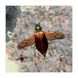 Flying High (Print Only) thumbnail