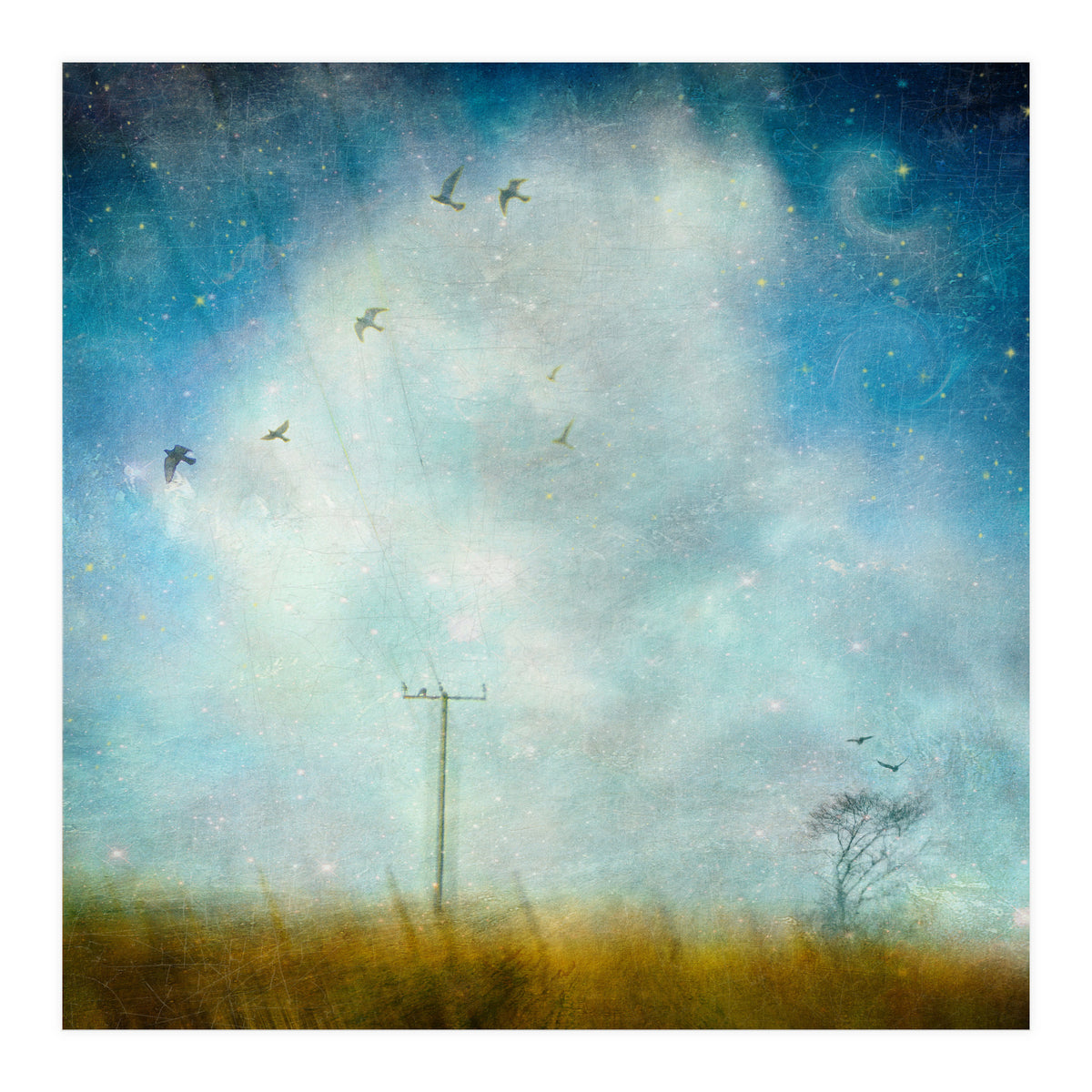 Silence, Shattered (Print Only)