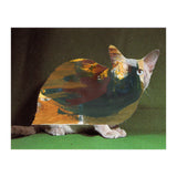 Color Cat (Print Only) thumbnail