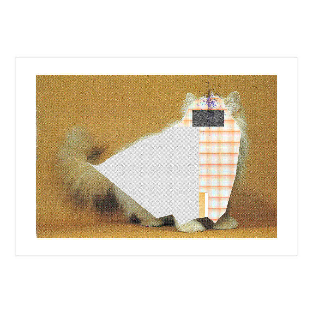 Content Of The Cat 1 (Print Only)