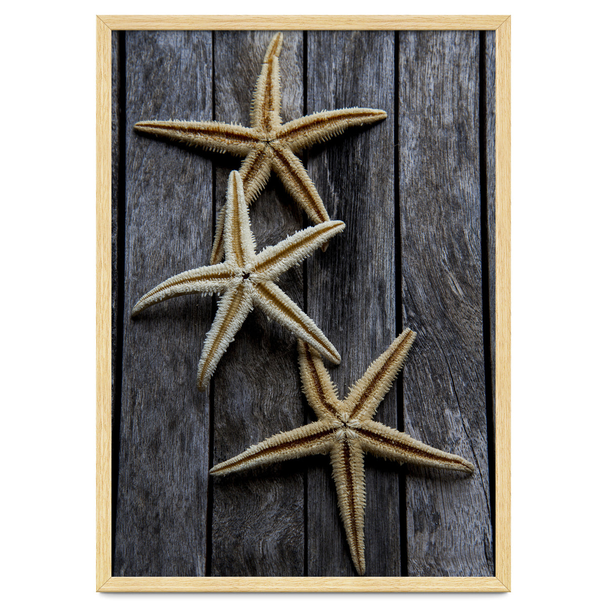 Starfishes in wooden
