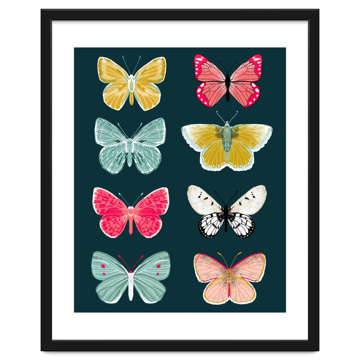 Lepidoptery Study No. 2