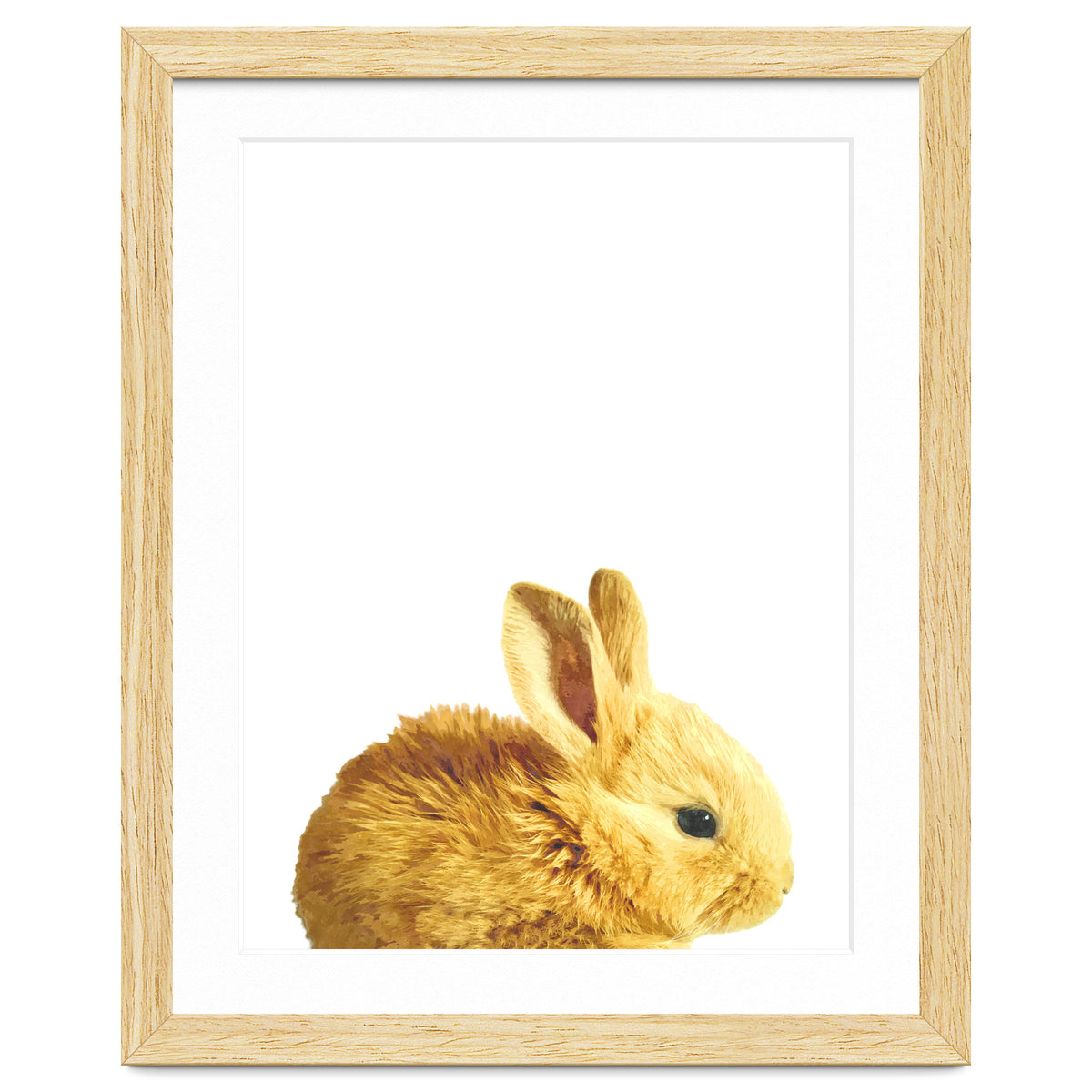 Bunny Portrait