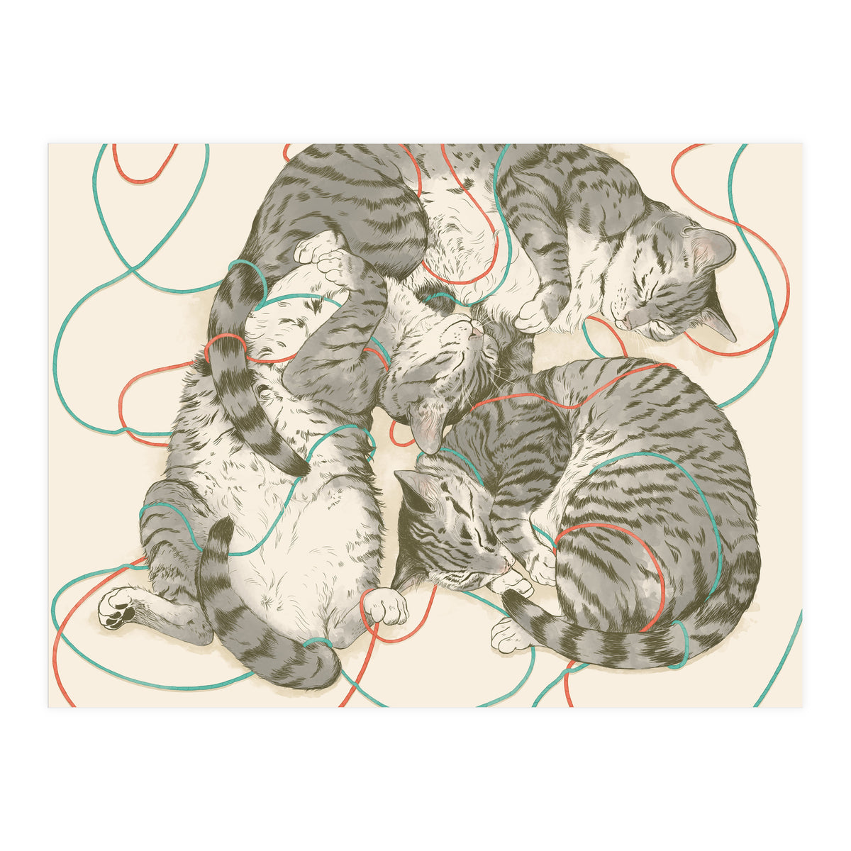 Cats (Print Only)