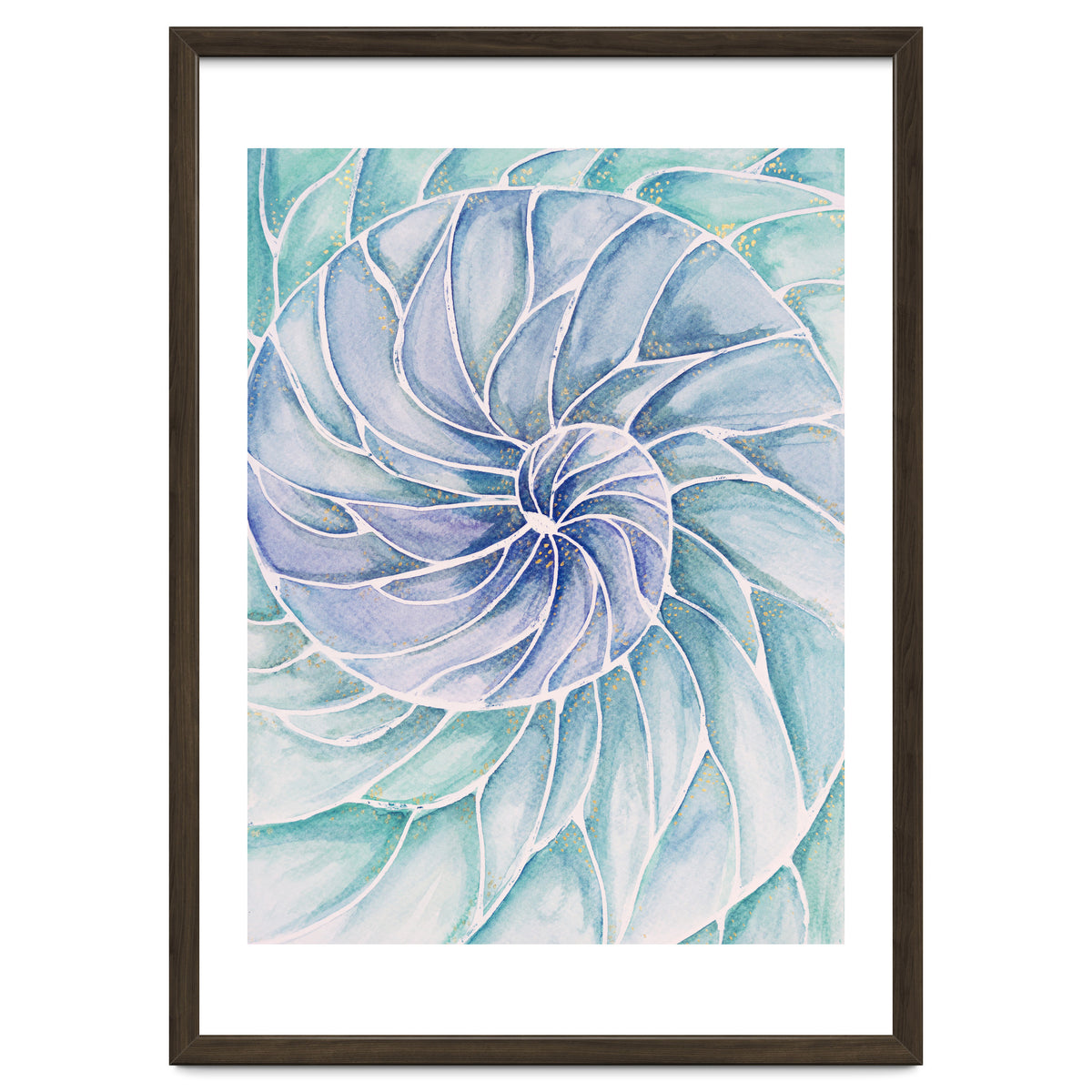 The inside of a shell