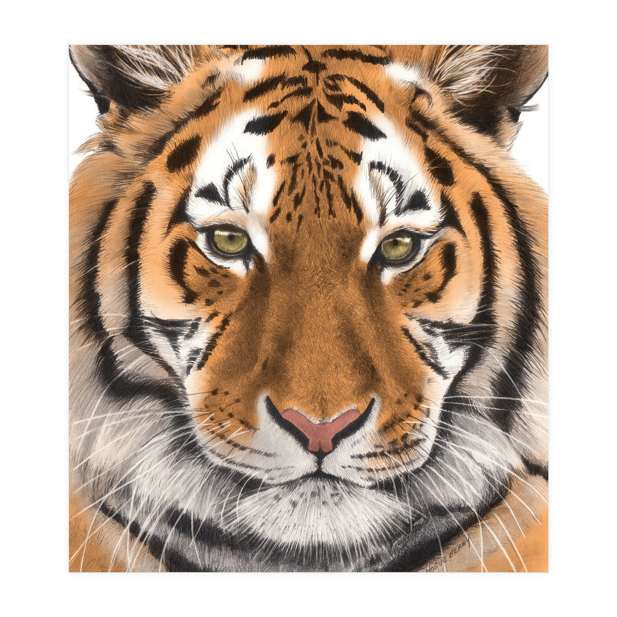 Tiger (Print Only)
