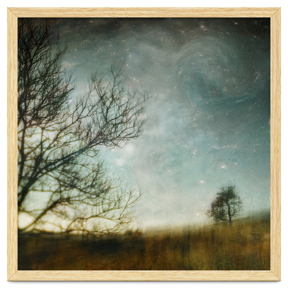 The Tree That Whispered