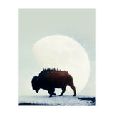 Wild West (Print Only) thumbnail