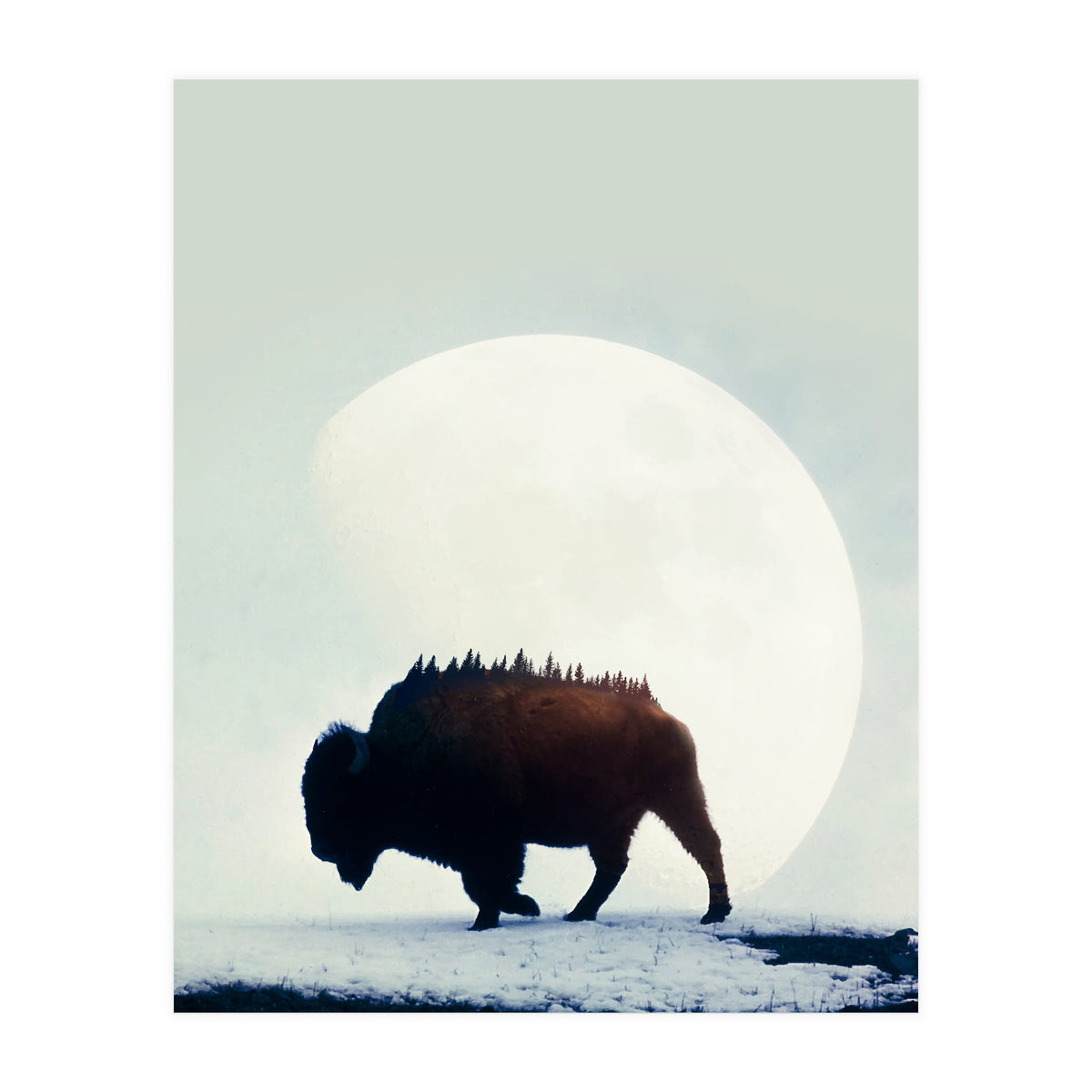 Wild West (Print Only)