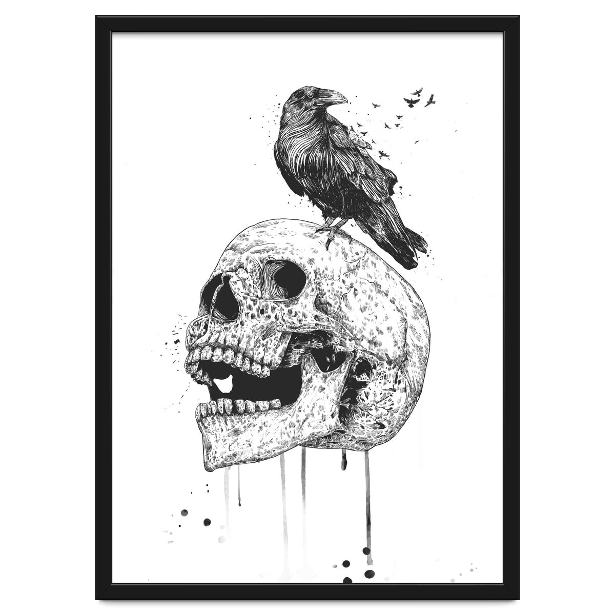 New Skull (bw)