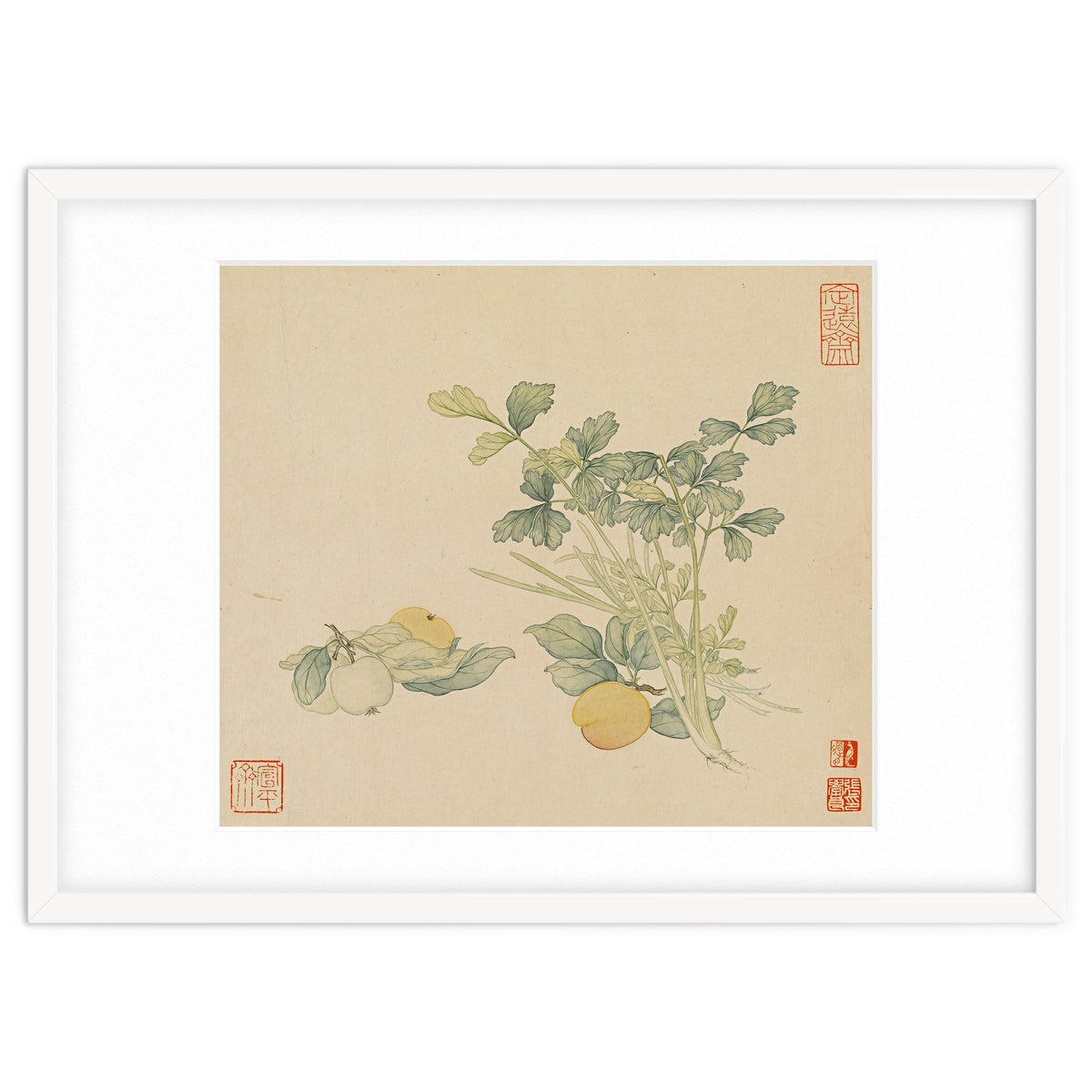 Wang Chengyu~flowers And Vegetables, Vegetables, Fruits, Plums, Apricots, Celery