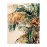 Tropic Summer  (Print Only) thumbnail