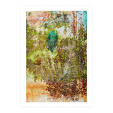 Oak (Print Only) thumbnail