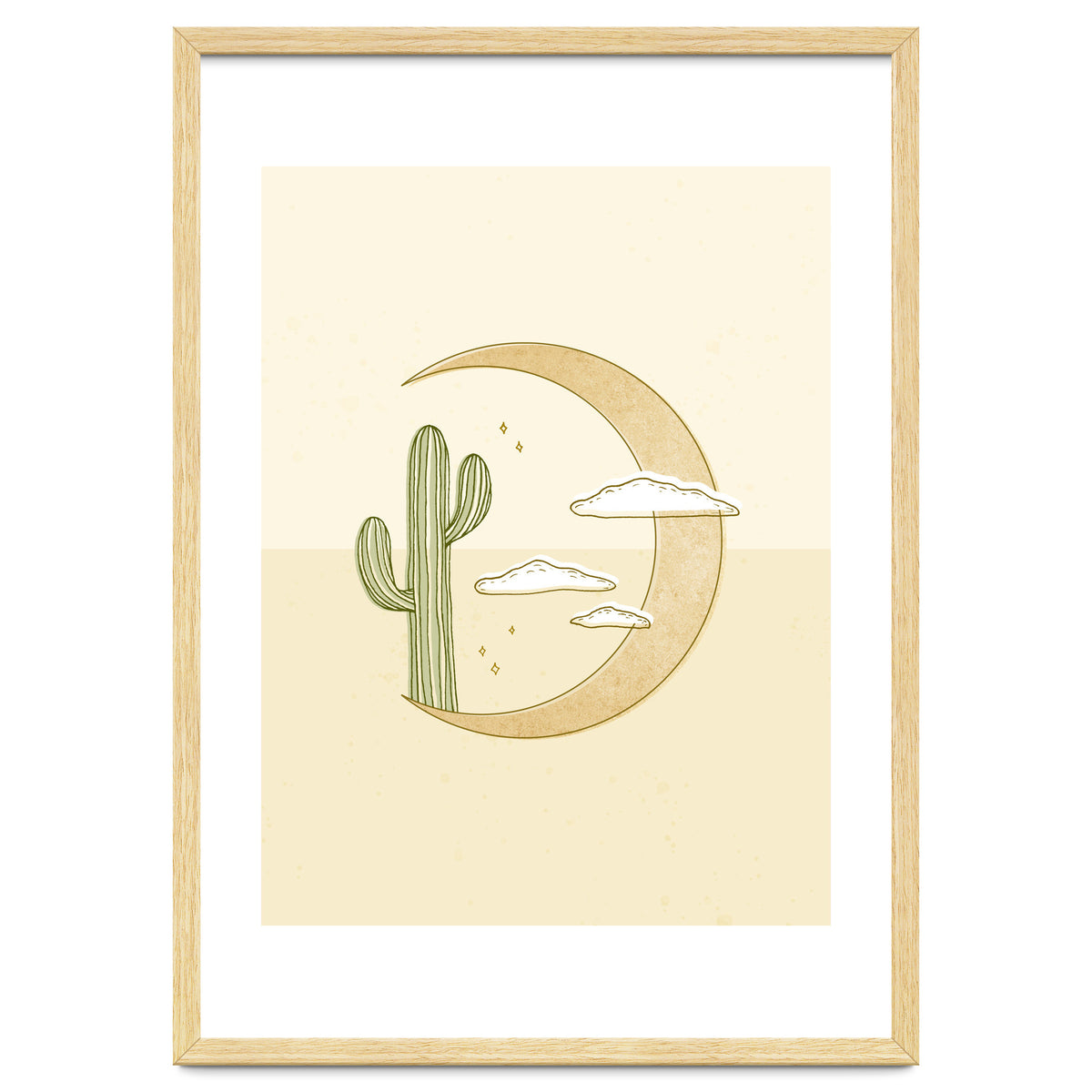 Moon Cactus