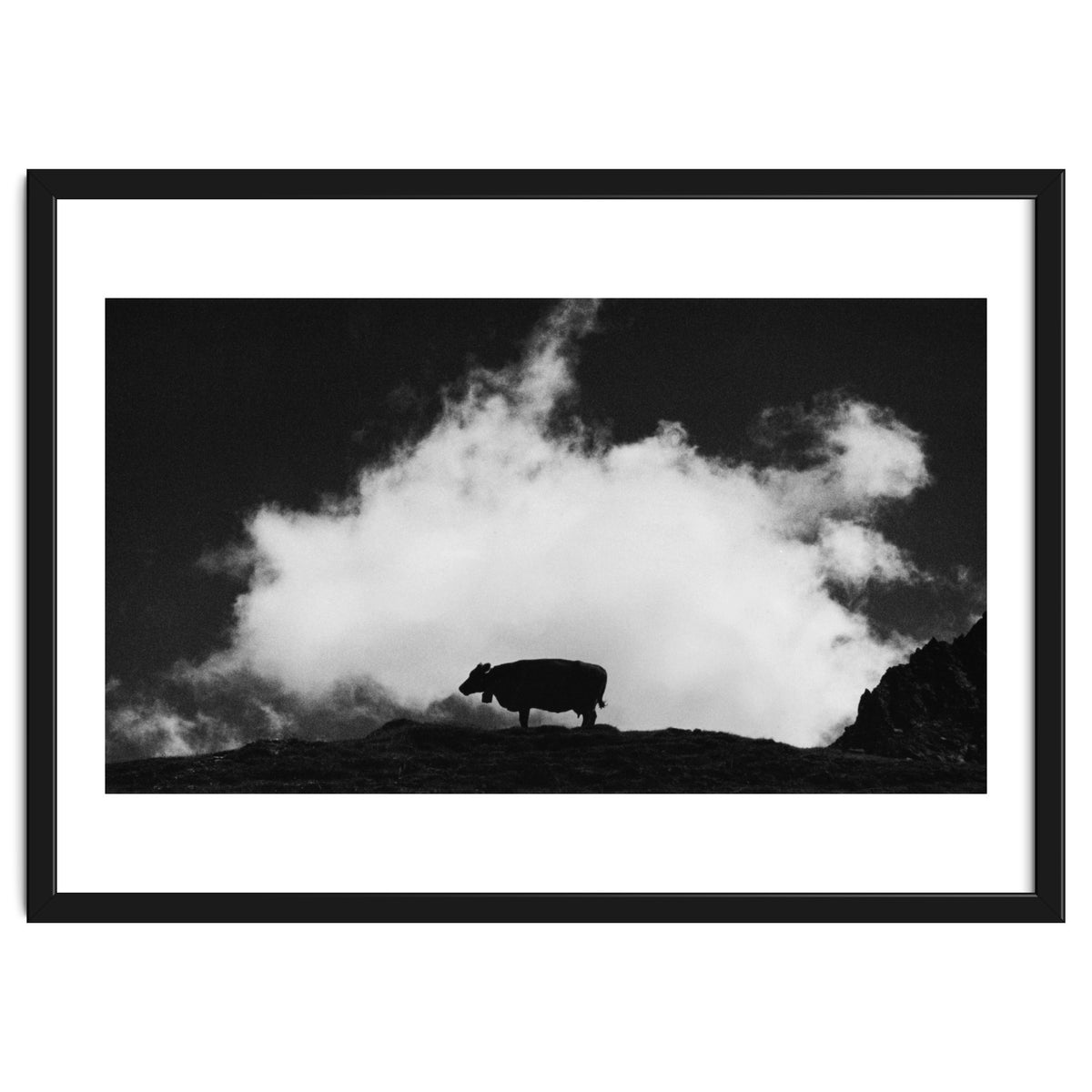 cow and cloud